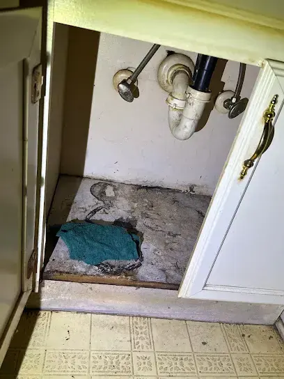 Open sink cabinet with the floor cut out below the drain and supply pipes after a leak